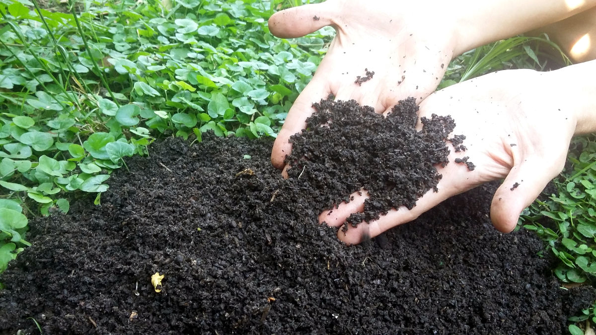 Compost resultado final