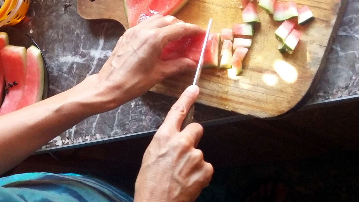 Compostando cascaras de sandía