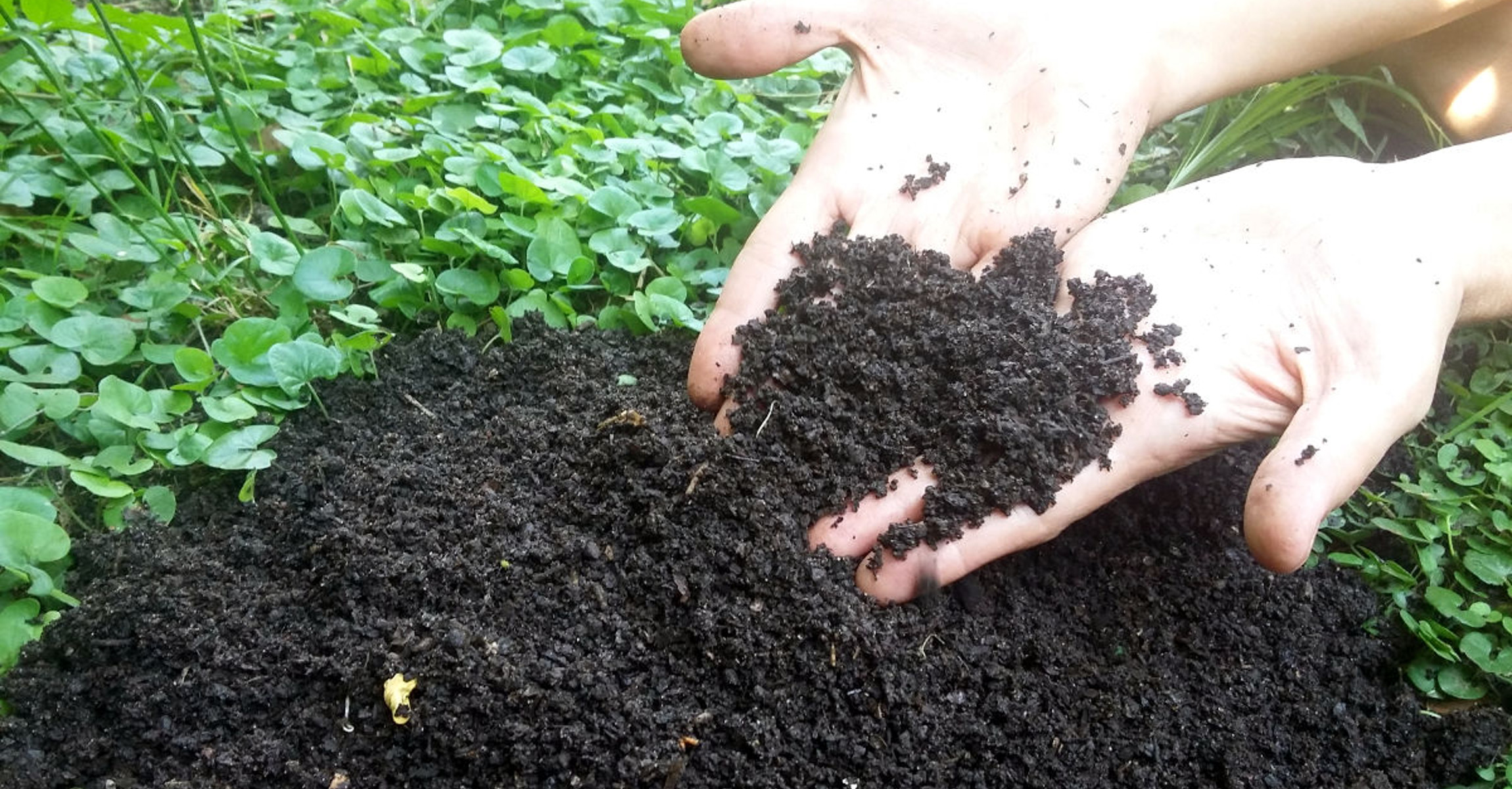 Que es el compost?