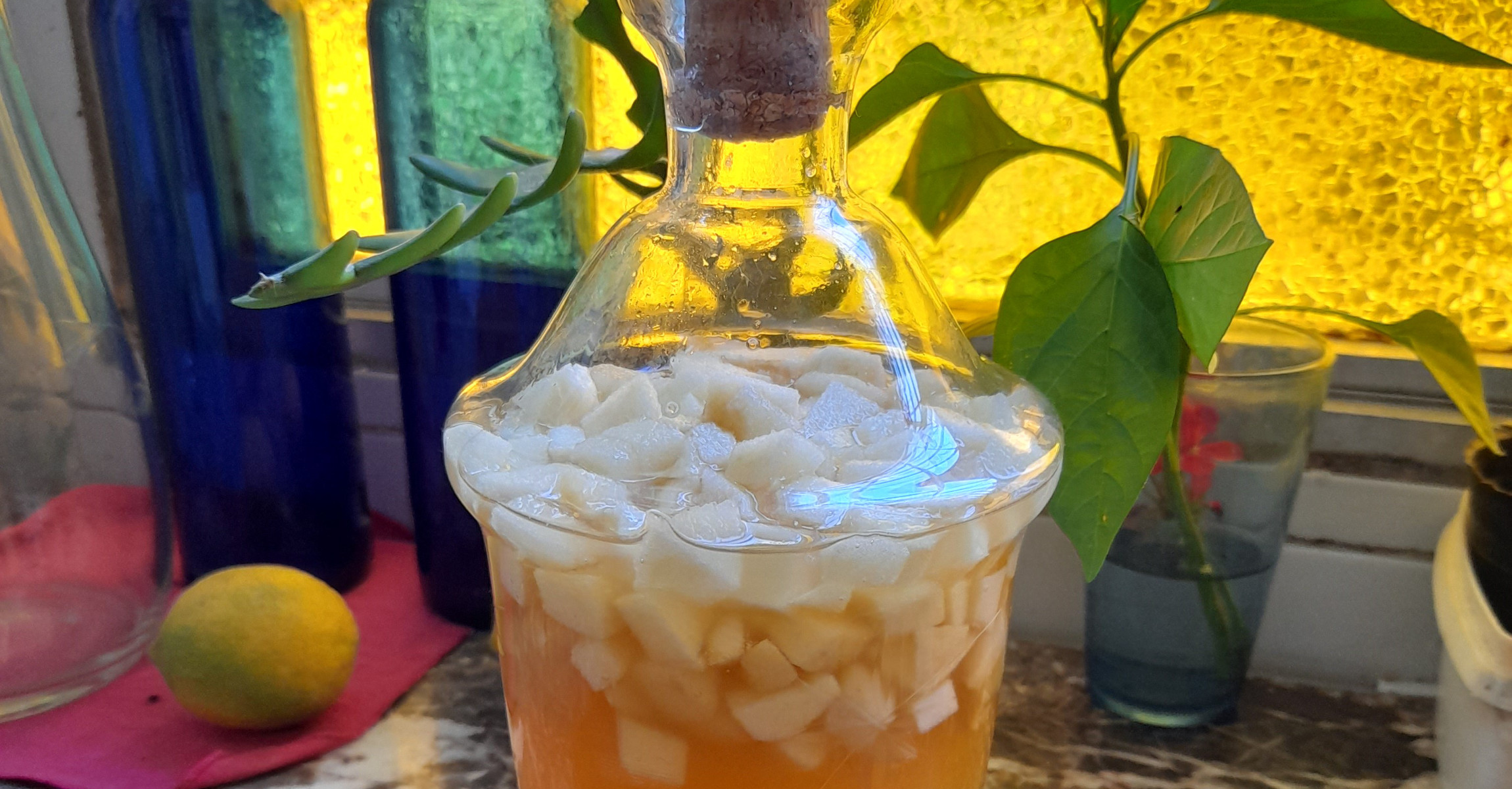 Kefir de agua
